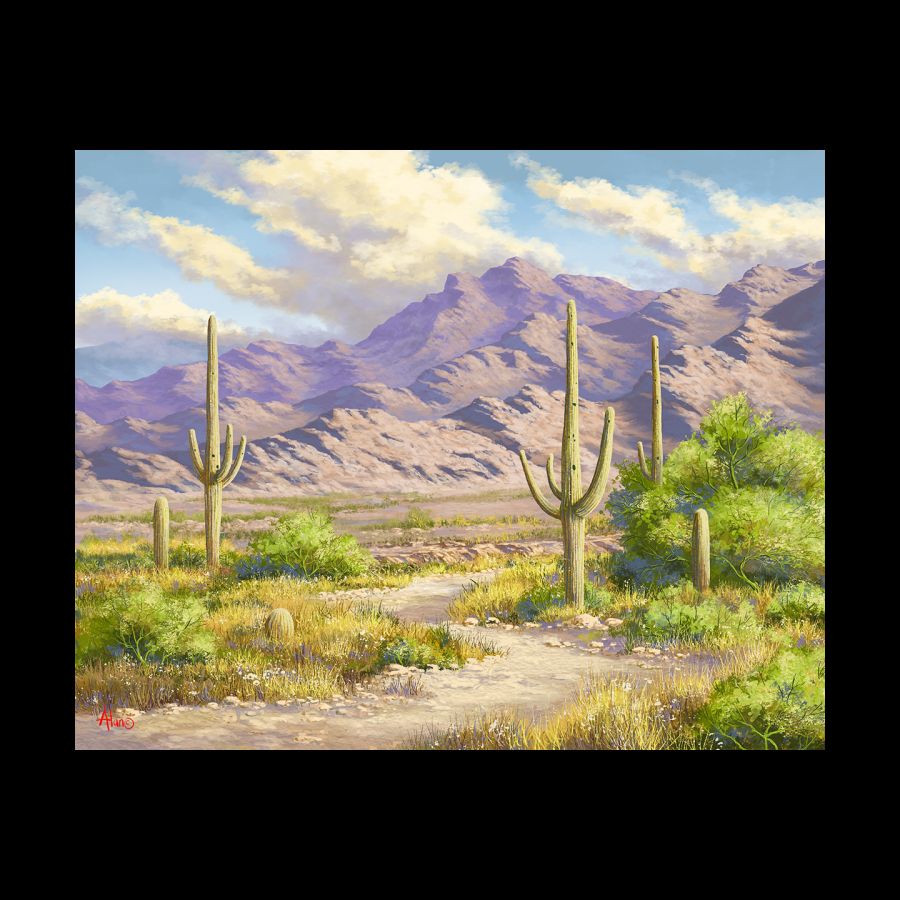 Before The Monsoons